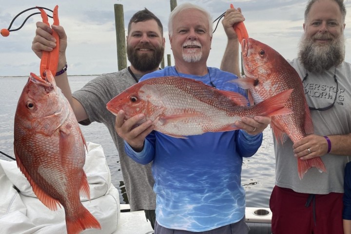 a person holding a fish
