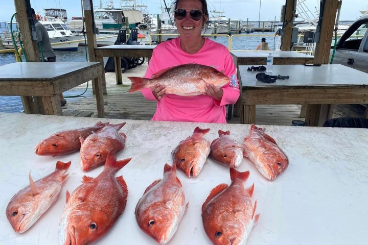 a person holding a fish