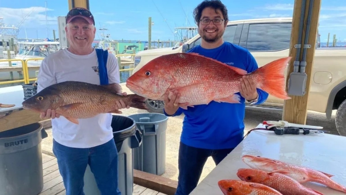 a man holding a fish