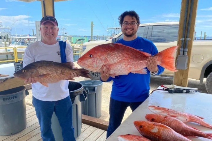 a man holding a fish
